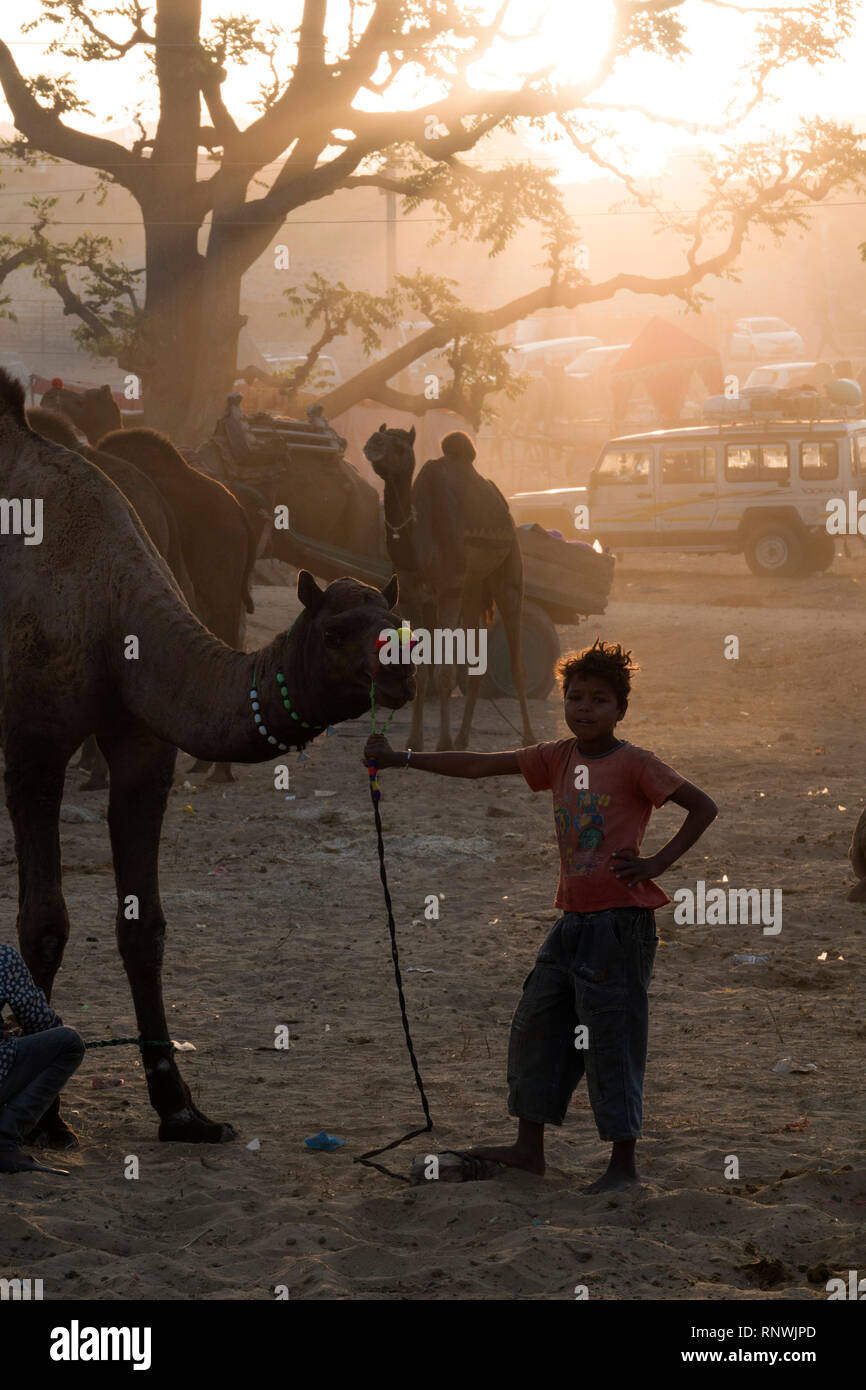 Ragazzo che pongono accanto al Camel a Pushkar Camel Fair in Rajasthan, India Foto Stock