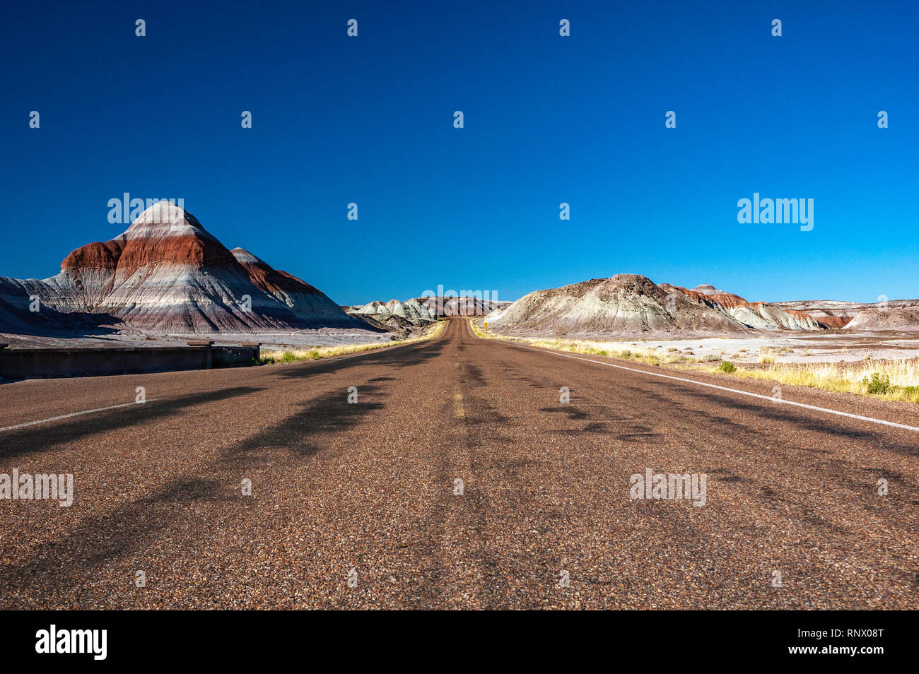 Le formazioni Tepees nel Parco Nazionale della Foresta Pietrificata, AZ. Foto Stock