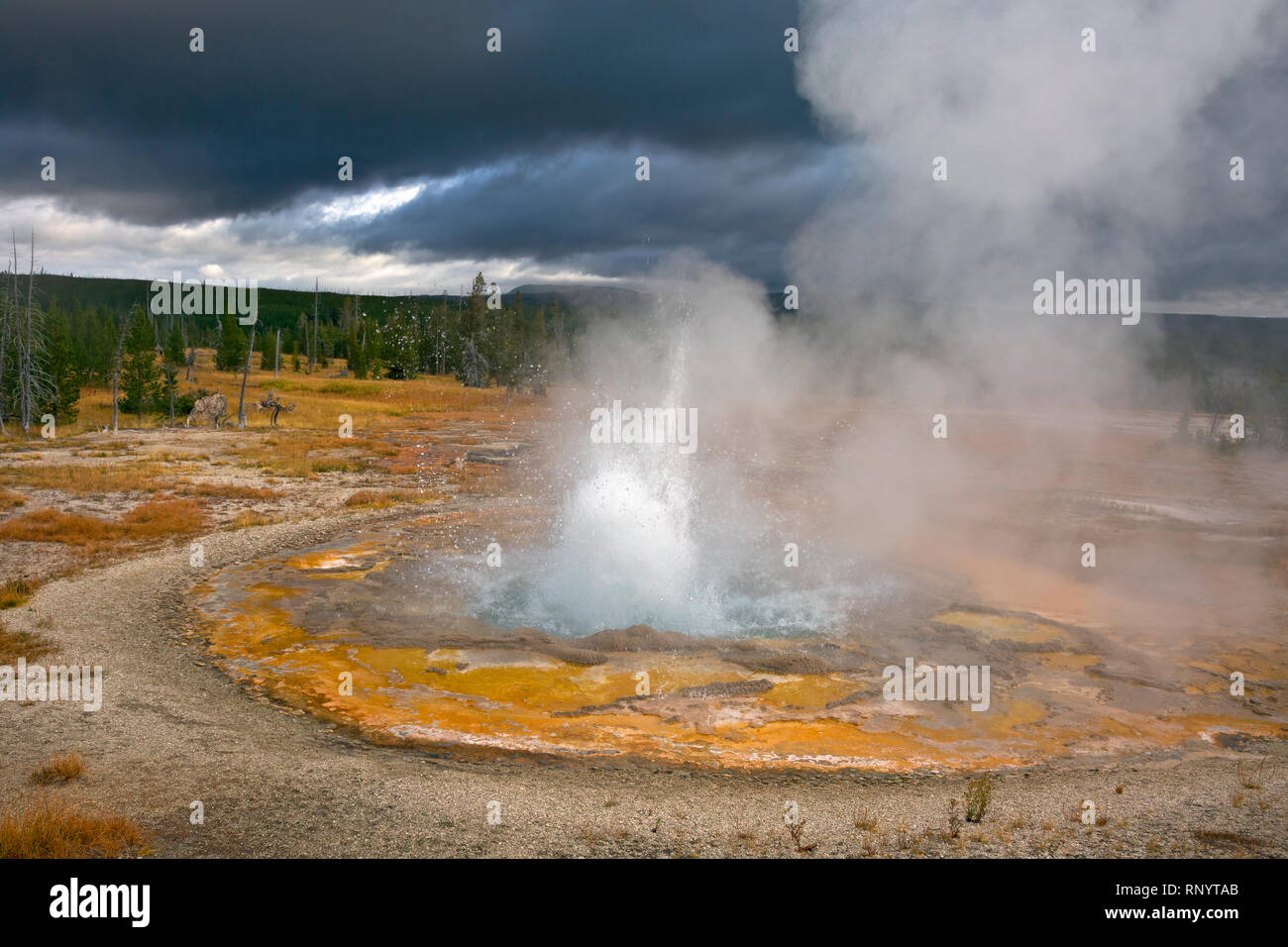 WY03833-00...WYOMING - Geyser rustico nel cuore del lago area termale vicino alle rive del lago di cuore nel backcountry del Parco Nazionale di Yellowstone. Foto Stock