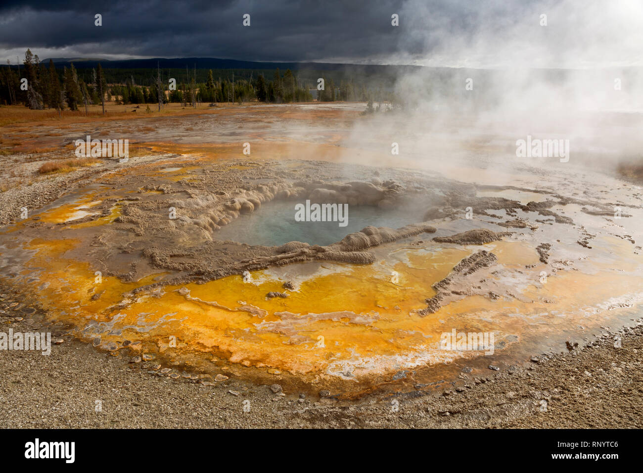 WY03834-00...WASHINGTON - Rustico Geyser post-eruzione nel gruppo rustico del cuore del lago area termale nel backcountry di Yellowstone National Pa Foto Stock