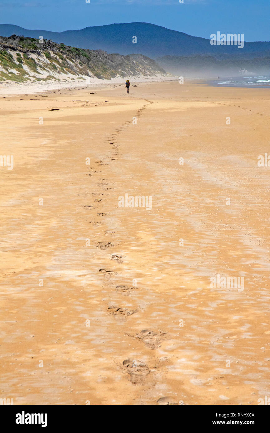 Escursioni sul prione spiaggia lungo la costa sud via Foto Stock