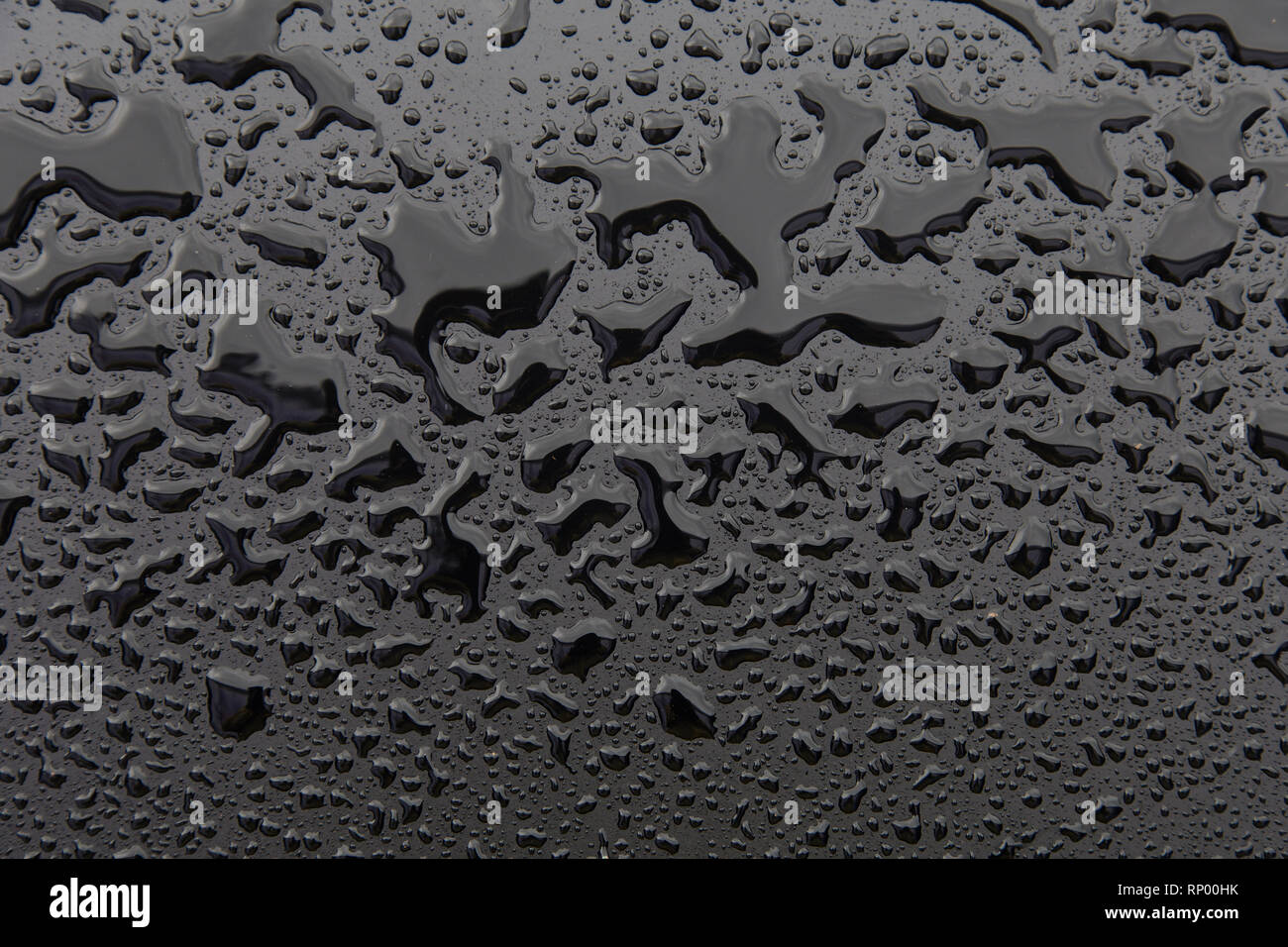 Gocce di acqua sulla texture nera. Walpaper Foto Stock