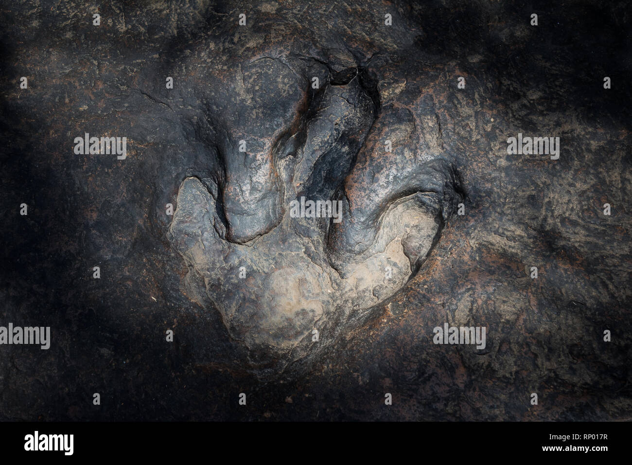 Vera e propria impronta di dinosauro , della Thailandia. Foto Stock