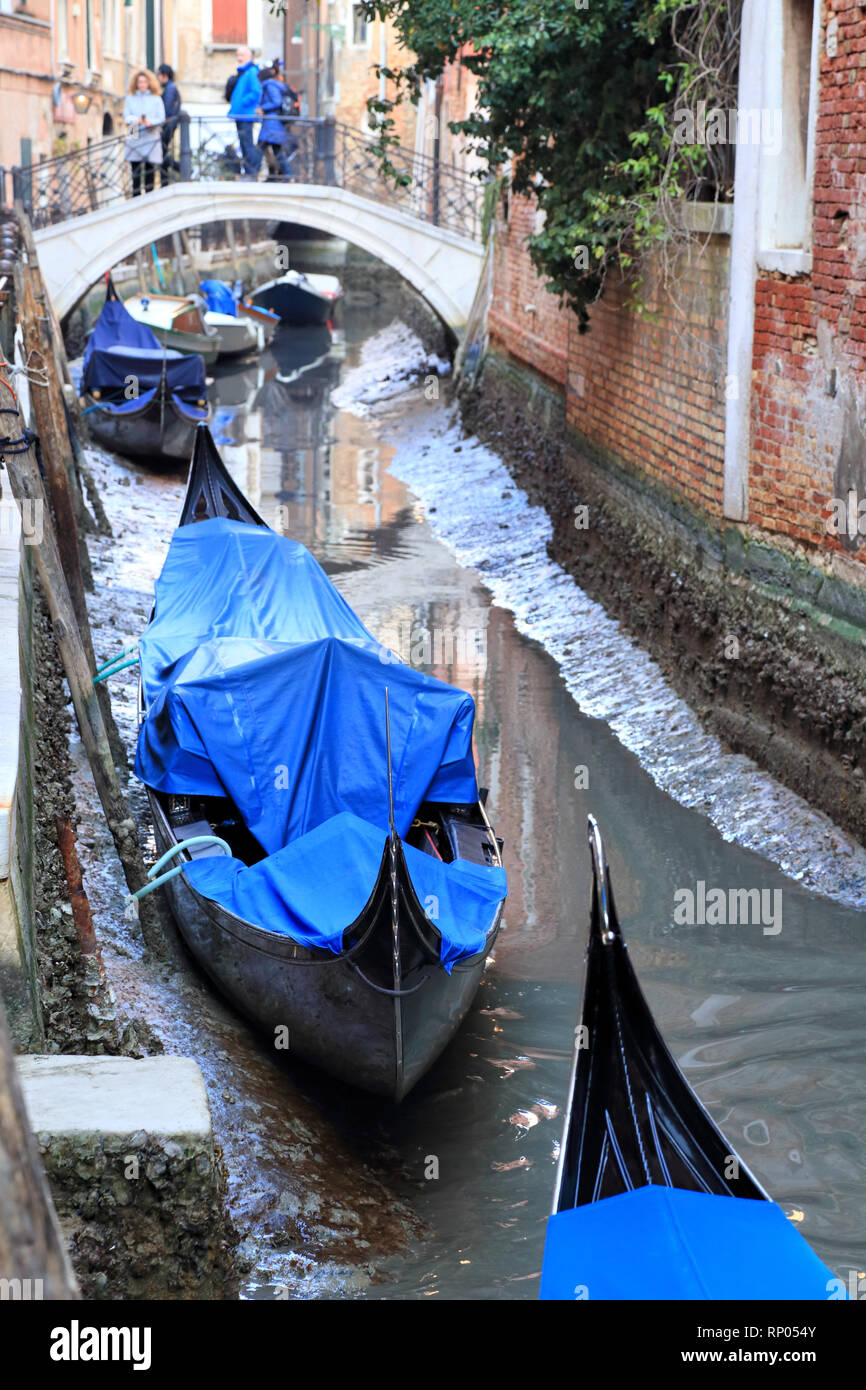 Acqua bassa un Venezia, Bassa marea a Venezia. Foto Stock