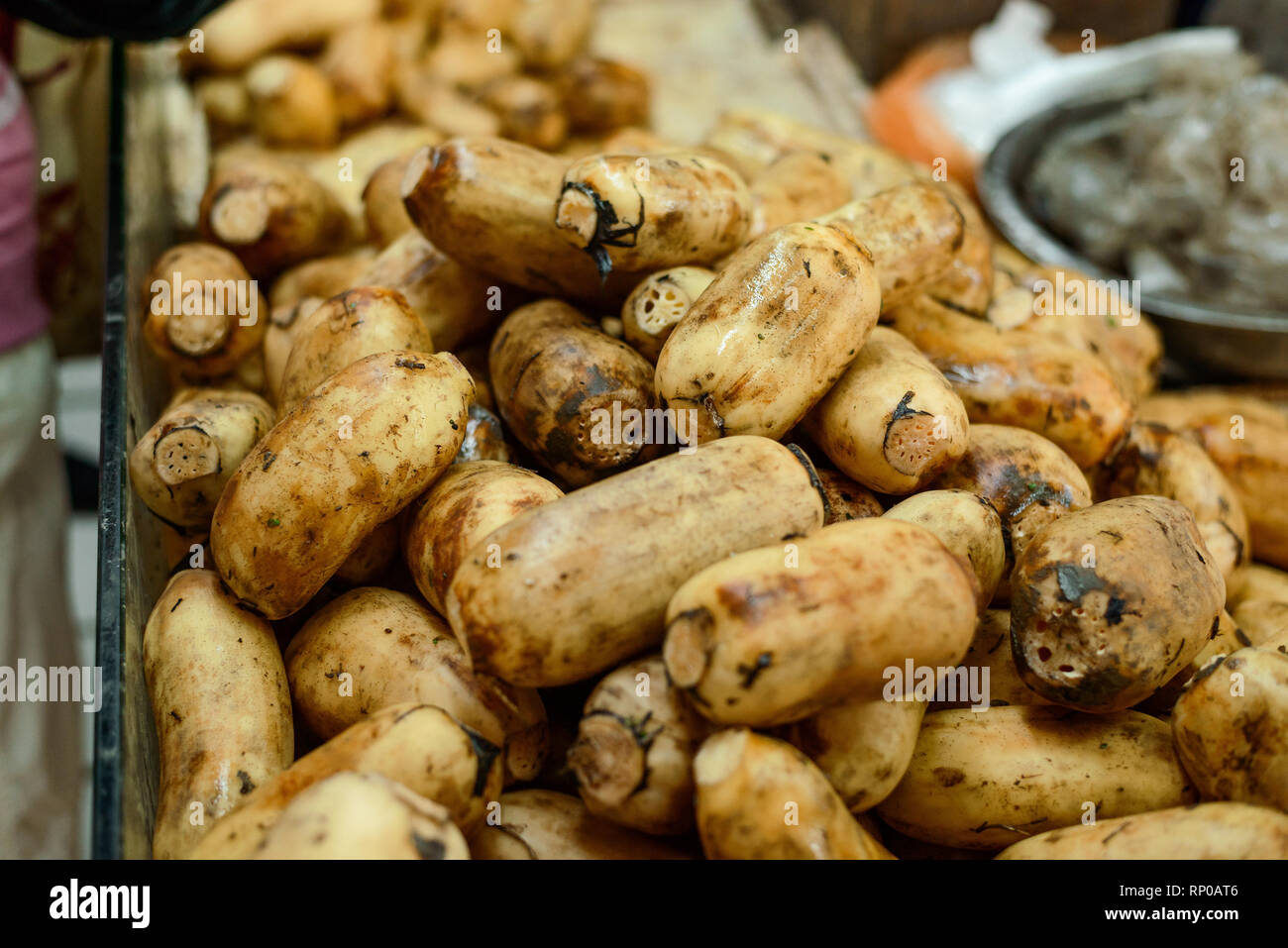 Radici di loto in un mercato Foto Stock