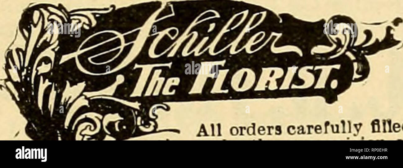 . Il fiorista americana : un giornale settimanale per il commercio. Floricoltura; fioristi. CHICAGO 146 S. WABASH AVE. Invia i tuoi ordini del telegrafo a noi per la consegna in Chicago e dintorni. Gli stati di F. T. D. THOS. r. GALVIN nro. NEW YORK Fifth Avenue DUulUil 799 BoyIstonstreet consegne ai vaporizzatori e tutti i punti orientale. Brooklyn, N. Y. GIUSEPPE TREPEL BROOKLYN IIXORIST LARGBST sette negozi. Principali QO^ mi ayiie Aua Telefono Store- ""^ LBWI5 MIDi, No. 1150 Bedford Telegraph ordini consegnati a tutte le parti del nuovo s Cincinnati, O MI HARDESTY &AMP; CO. Ho 150 East Fourth Street 1 la migliore che cresce. Foto Stock
