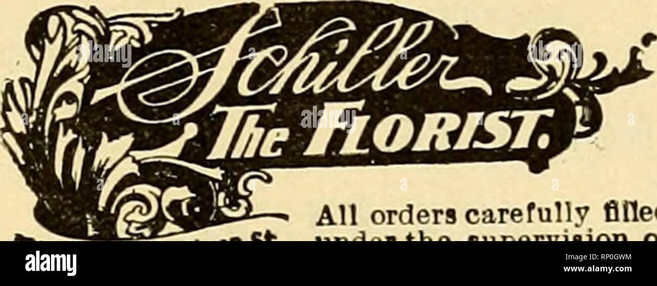 . Il fiorista americana : un giornale settimanale per il commercio. Floricoltura; fioristi. CHICAGO 146 S. WABASH AVE. Invia i tuoi ordini del telegrafo a noi per la consegna in Chicago e dintorni. Gli stati di F. T. D. THOS. F. GALVIN - sei - Fifth Avenue di New York DnCTH V 1 Par*" strada Ol/u I l/ll 799 Boylston Street •consegne ai vaporizzatori aggiungere tutti i punti orientale. Brooklyn, N. Y. GIUSEPPE TREPEL BROOKLYN PIÙ GRANDE DEL fioraio sette negozi. VL principale ho aiilic Ava Telefono Store- ""^ LBIII5 HIB., n. 1150 Bedford Telegraph ordini consegnati a tutte le parti della città di New York. Brooklyn e Lonf; Isola. Uember di Flor Foto Stock