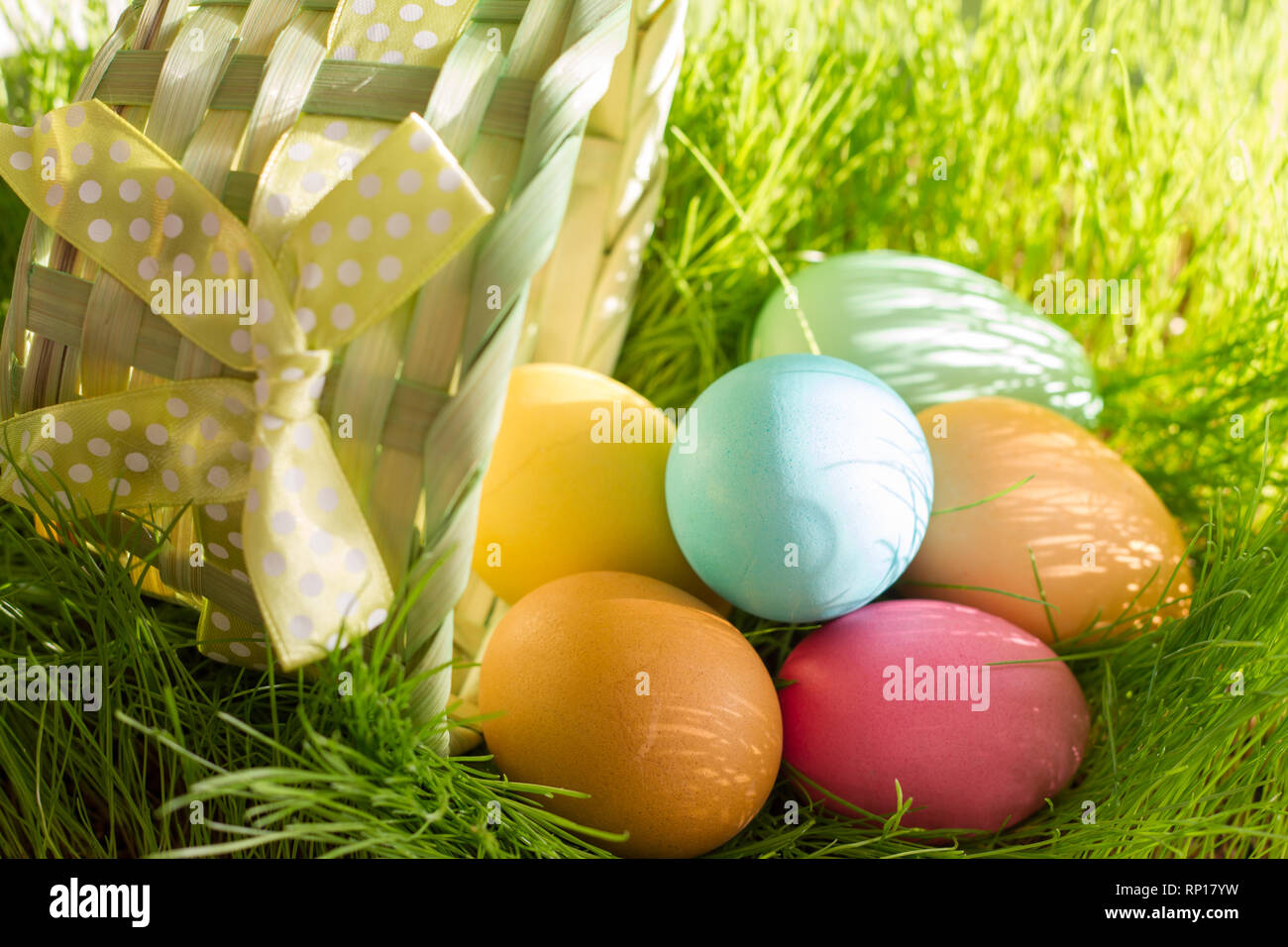 Pasqua uova colorate in primavera erba verde nella luce solare floral background astratto Foto Stock
