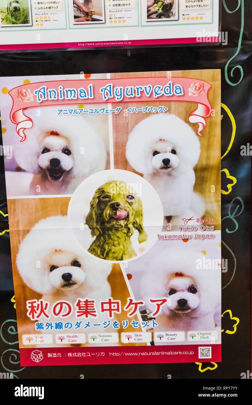 Giappone, Honshu, Tokyo, Pet Shop, Poster Adverising Trattamento Ayurveda per cani Foto Stock