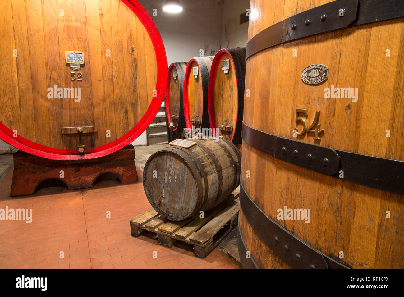 Botti di rovere per la maturazione del liquore alpino Amaro Braulio, Bormio, provincia di Sondrio e della Valtellina, Lombardia, Italia Foto Stock