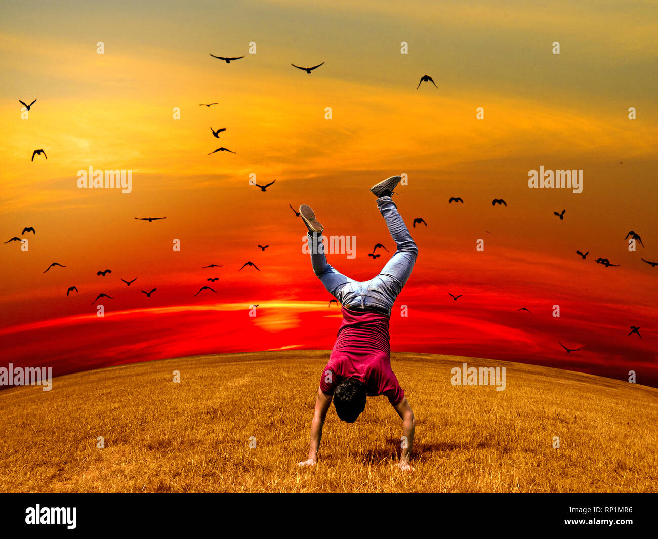 Giovane sportivo facendo handstand e capoeira su campo di erba contro un idilliaco sky. Foto Stock