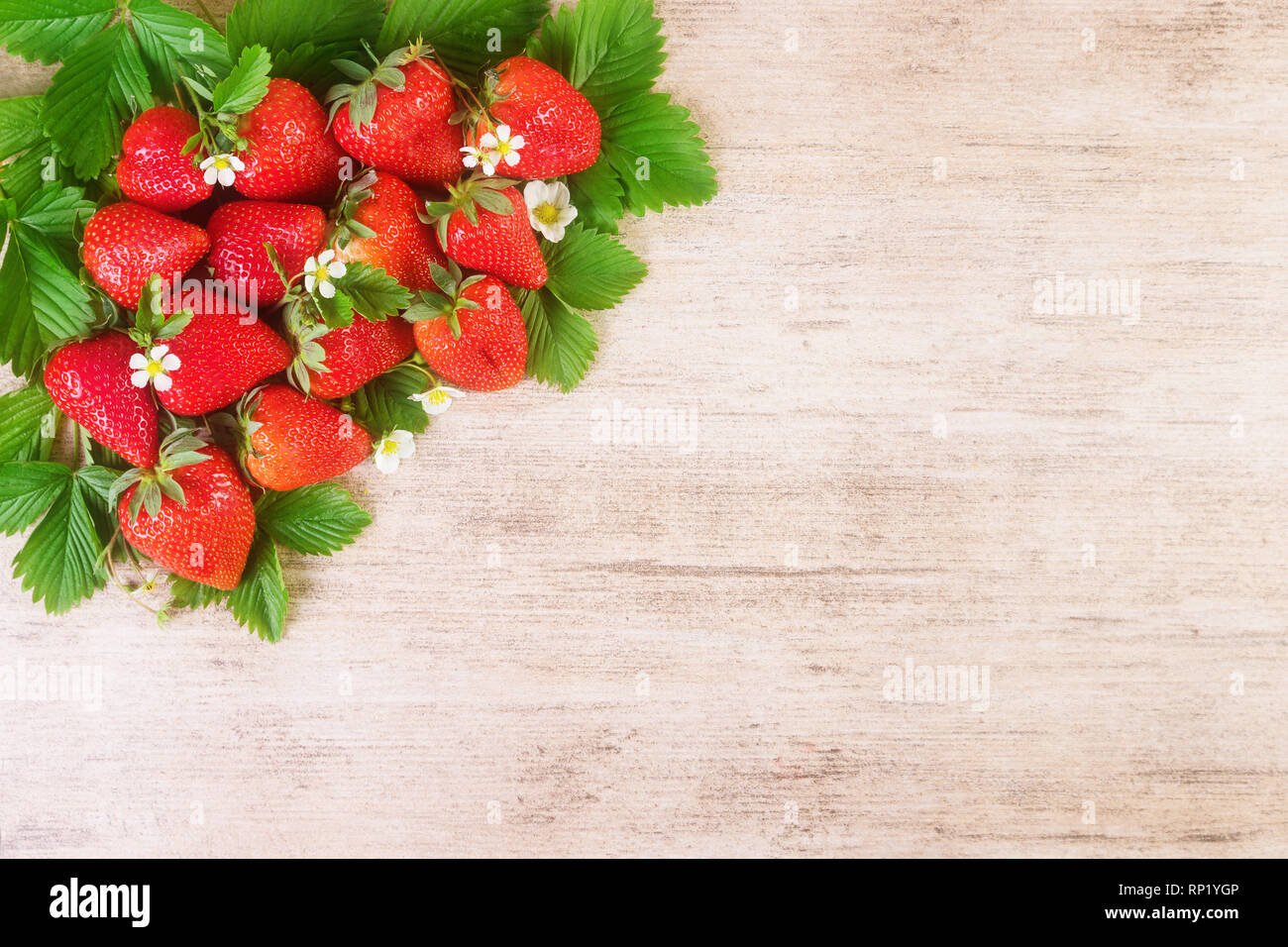 Fragole mature con foglia marrone su sfondo chiaro. Spazio di testo, vista dall'alto. Foto Stock