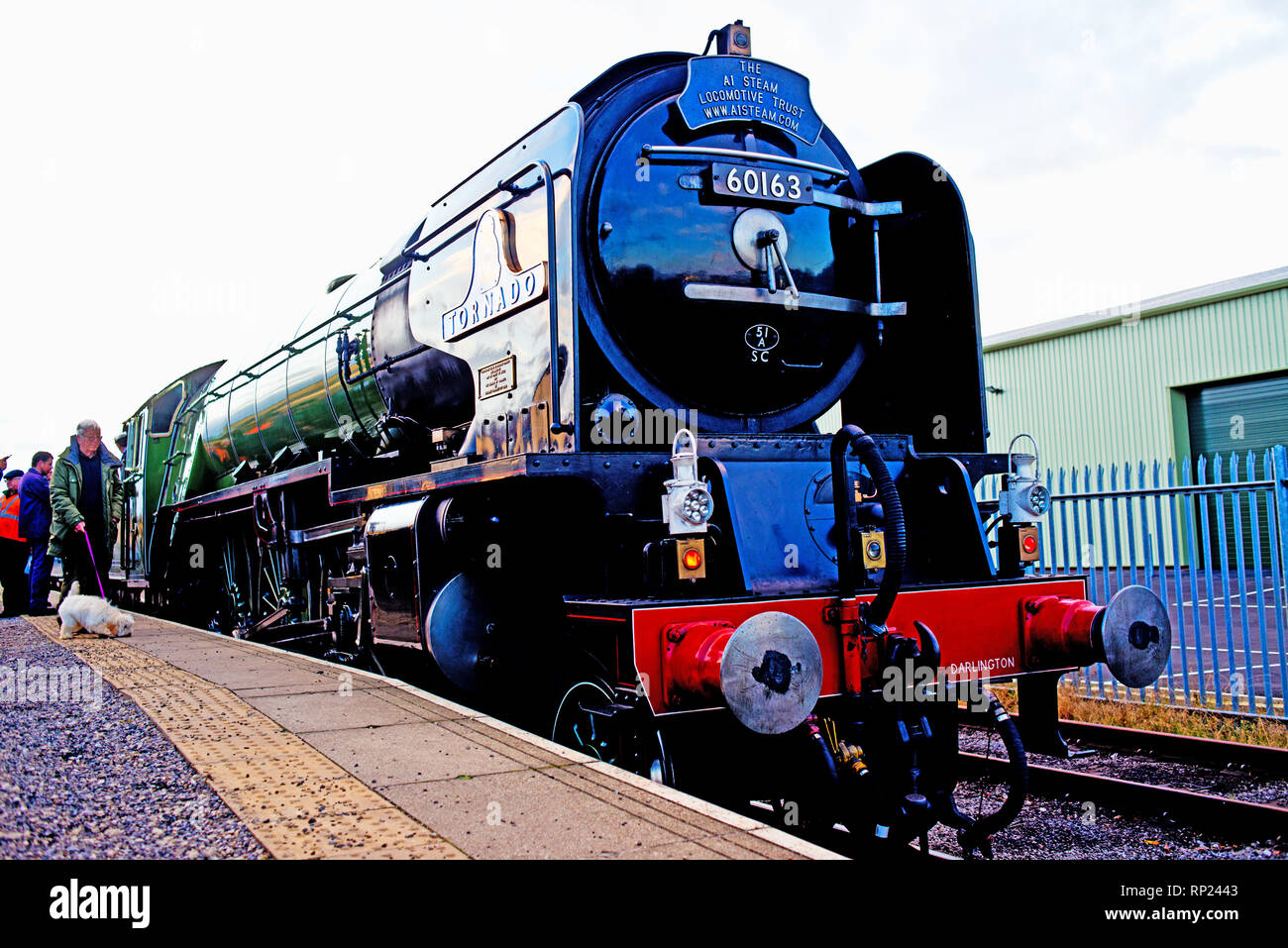 A1 Pacific nuova build n. 60163 Tornado at Leeming Bar, Wensleydale Railway, North Yorkshire, Inghilterra, 16 Febbraio 2019 Foto Stock