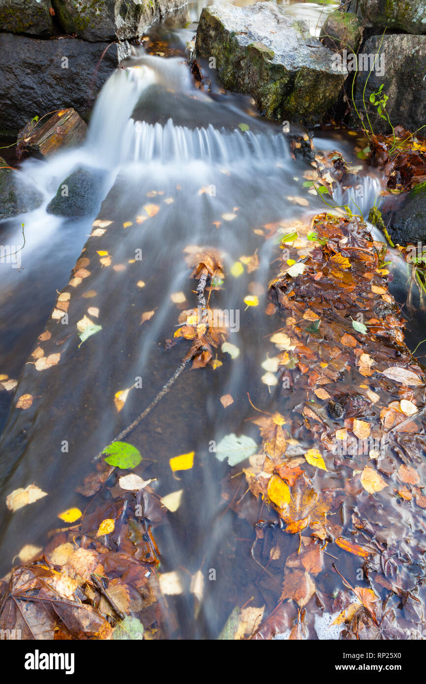 L'acqua che scorre sulle rocce in creek Foto Stock