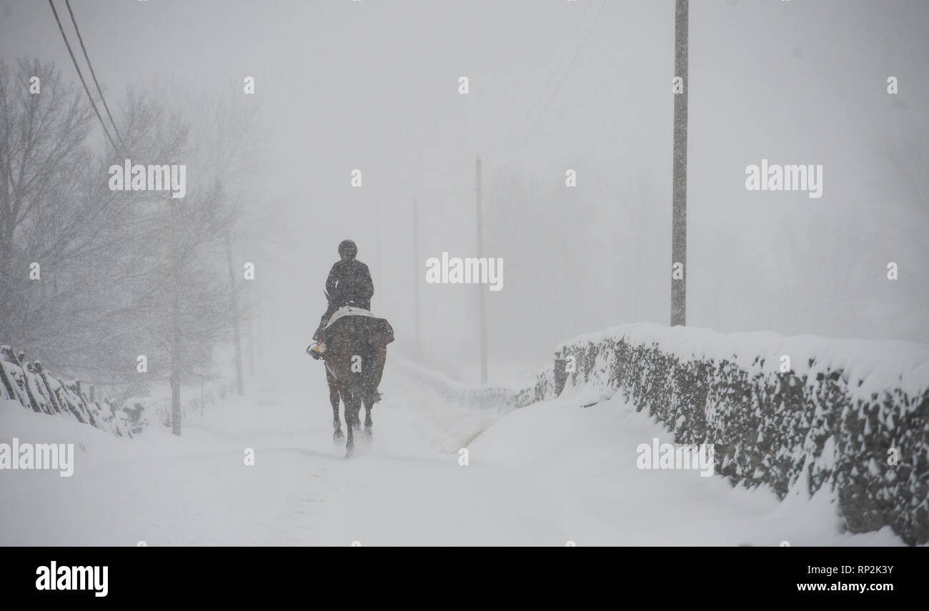 Virginia, Stati Uniti d'America. Xx Febbraio 2019. Durante una tempesta di neve di equitazione si fa strada verso il basso Foggy Bottom Road vicino al Bloomfield, Virginia. (Foto di Douglas Graham/WLP) Credito: William Graham/Alamy Live News Foto Stock