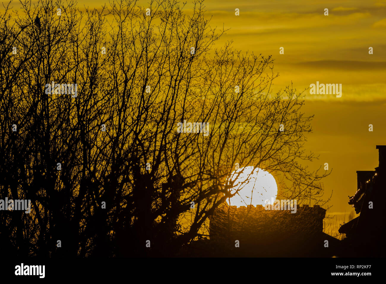 Londra, Regno Unito. Xx Febbraio 2019. Il sole che splende su teh teraced case di Clapham, SW di Londra. Credito: Guy Bell/Alamy Live News Foto Stock