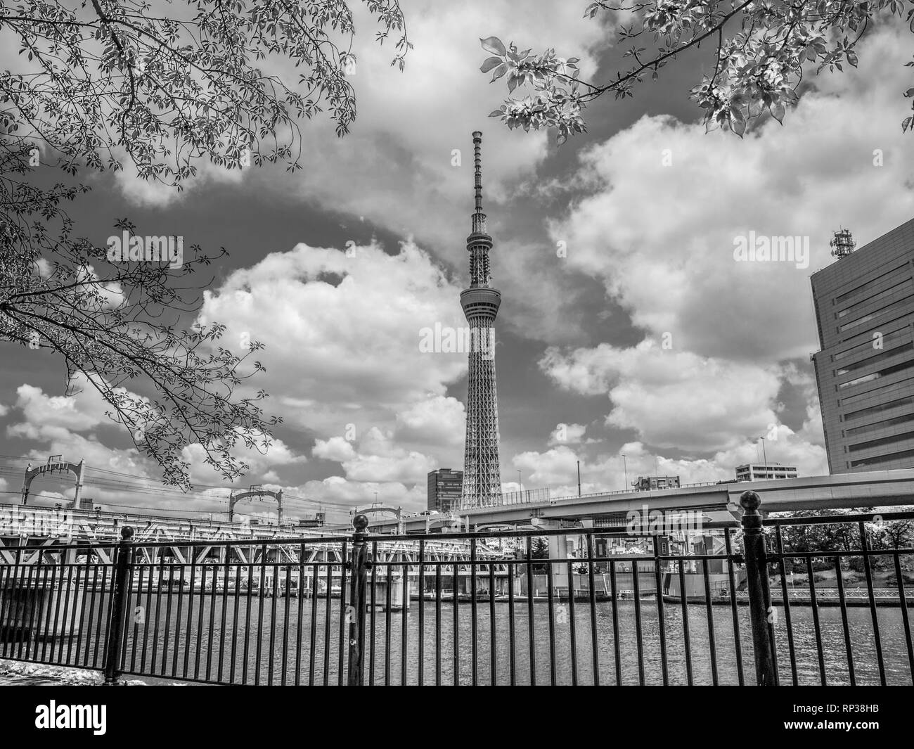 Skytree famosa Torre di Tokyo Foto Stock
