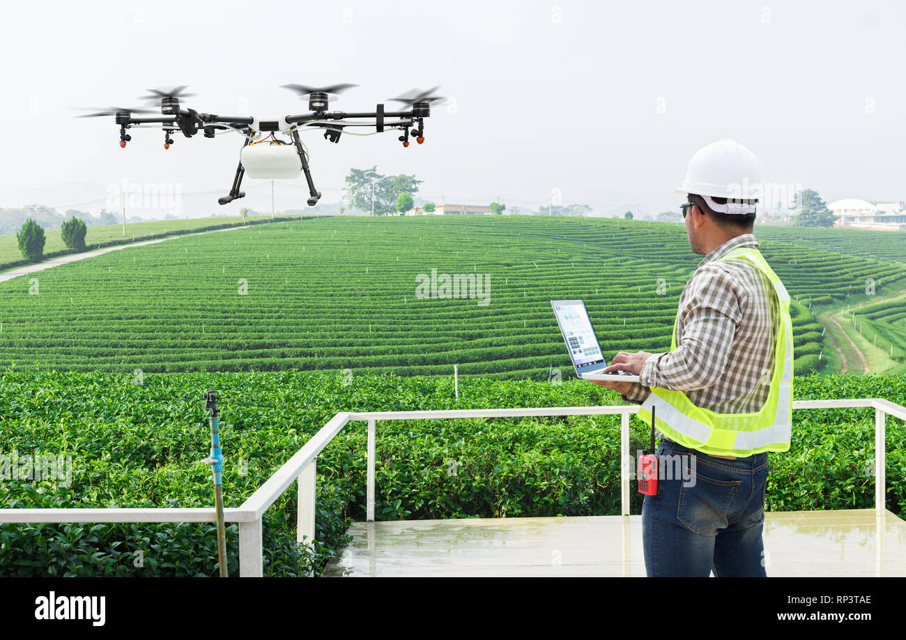 Il tecnico agricoltore usa wifi il controllo del computer agricoltura drone fly di fertilizzante spruzzato sui campi di tè Foto Stock