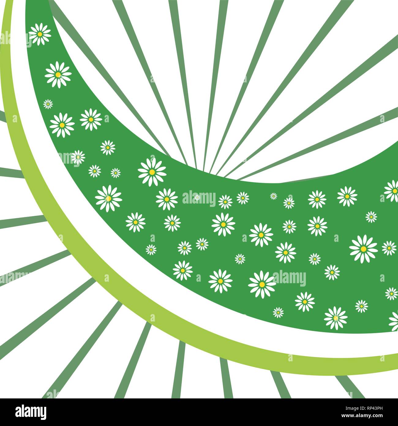 Floreale verde dello sfondo con camomiles. Illustrazione Vettoriale Illustrazione Vettoriale