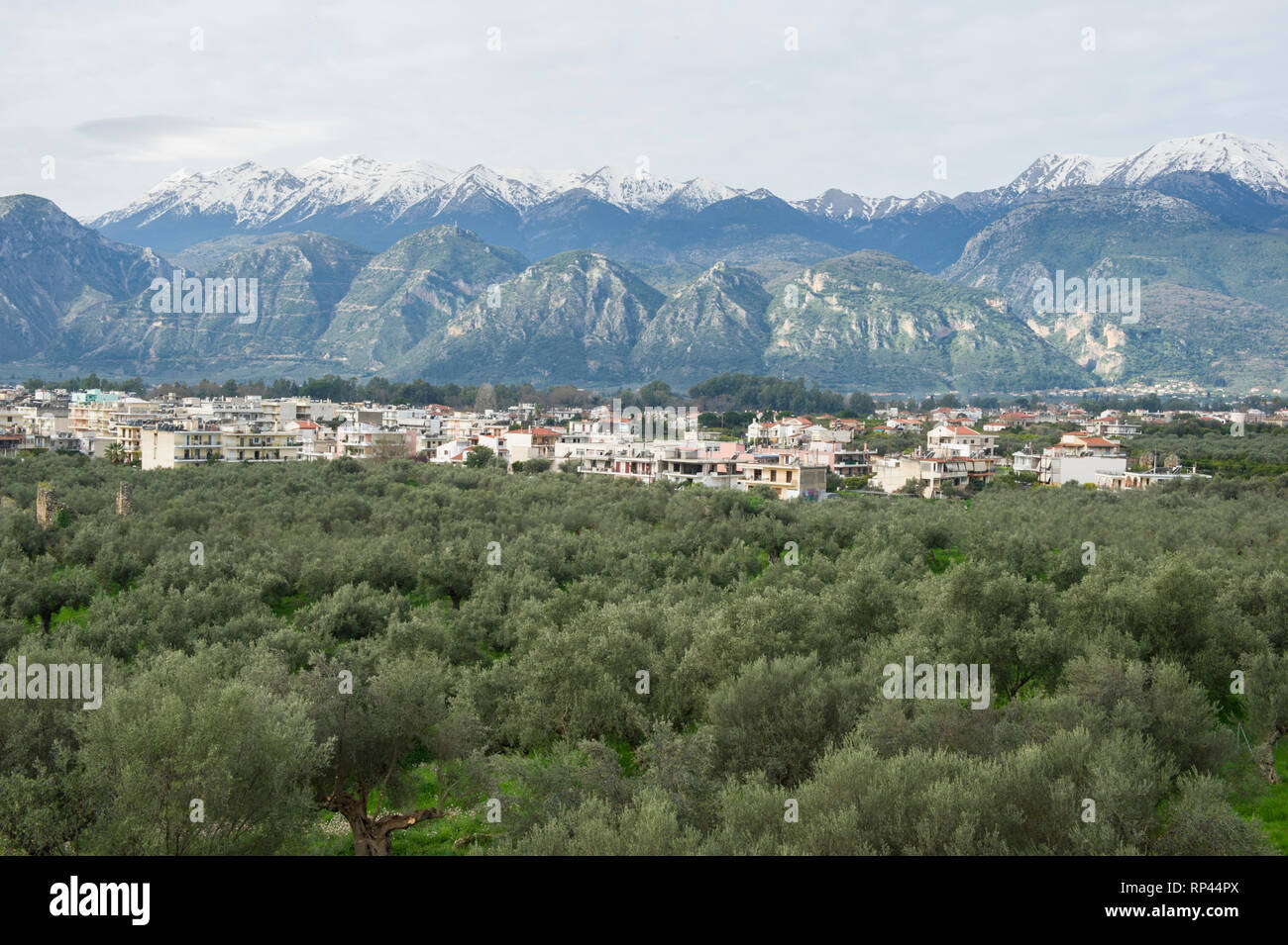 Sparta e oliveti sotto le cime innevate delle montagne Taigetos, Grecia Foto Stock