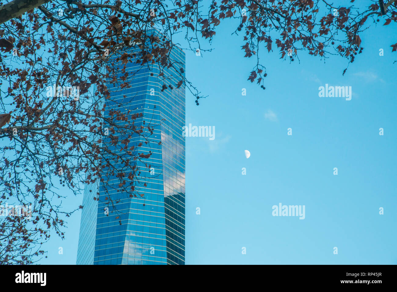 Cristal Tower. CTBA, Madrid, Spagna. Foto Stock