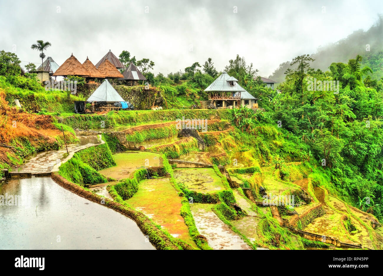 Banaue villaggio sull'isola di Luzon nelle Filippine, Foto Stock