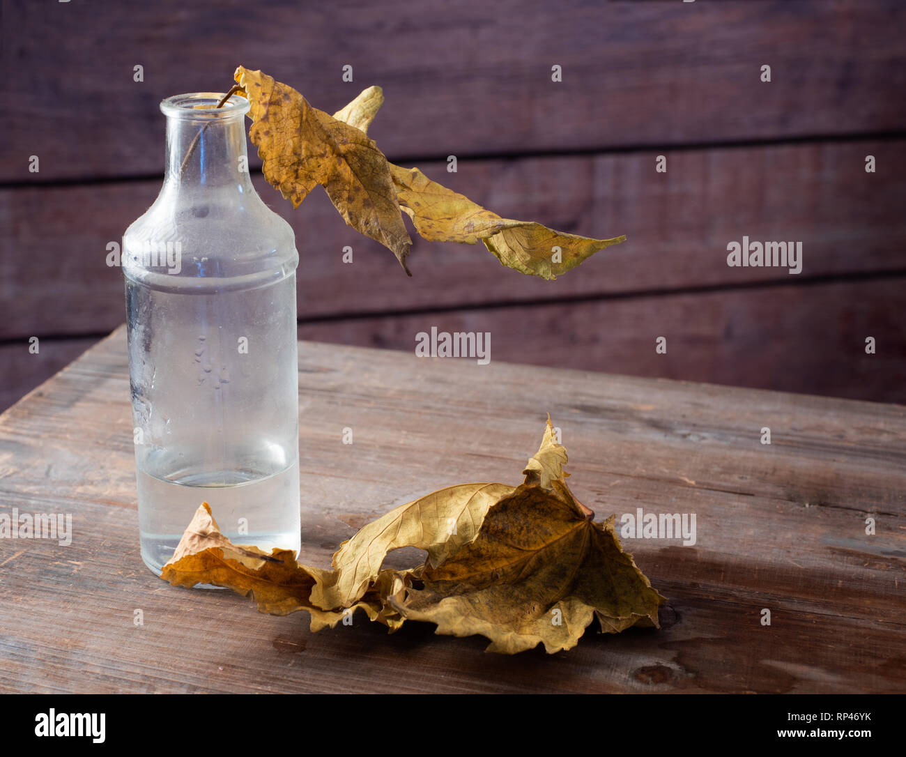 Ancora in vita con una bottiglia di polvere e di autunno foglie secche Foto Stock