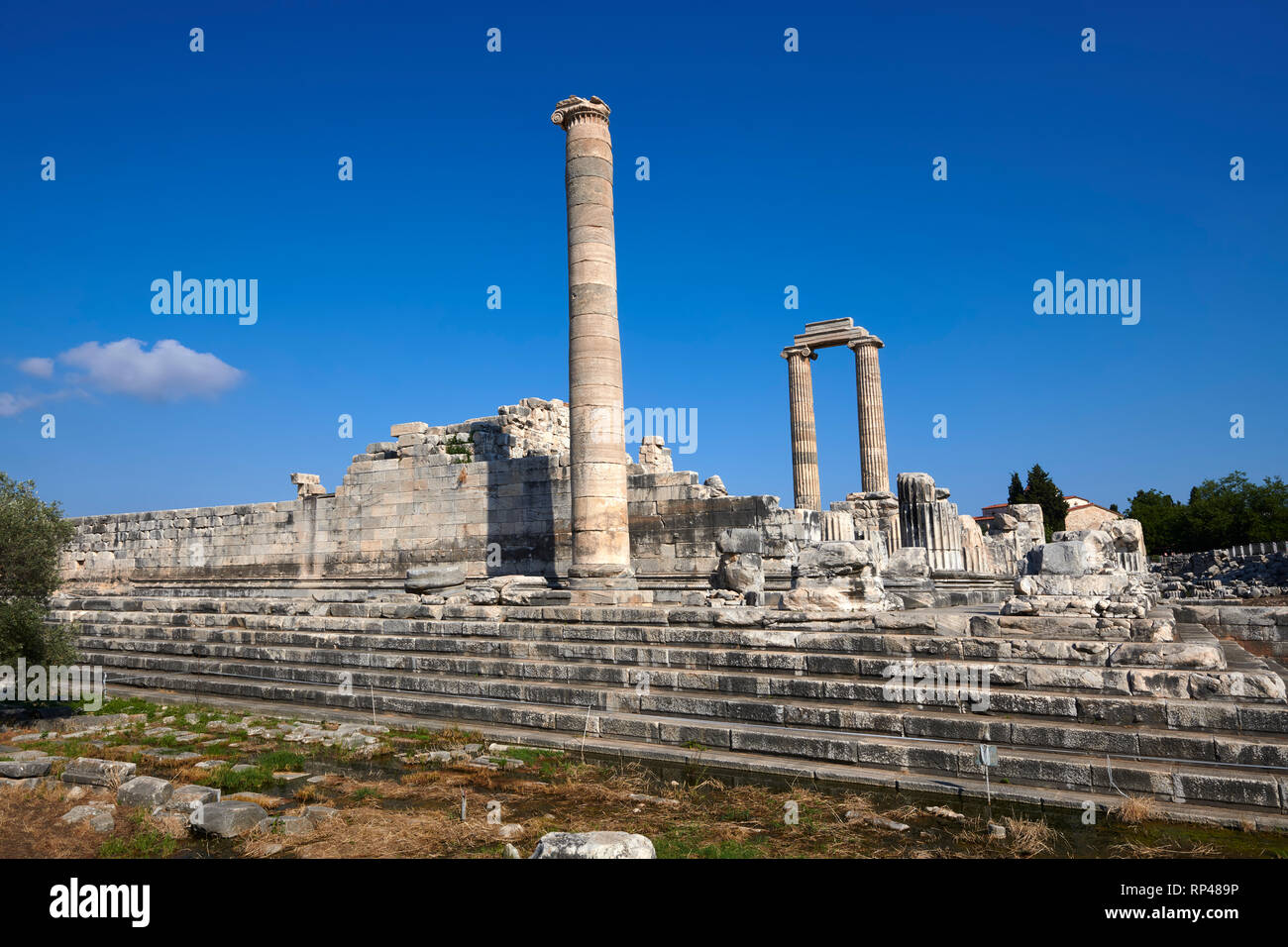 Immagine delle rovine dell' Antica Grecia Ionica Didyma Tempio di Apollo e home per l'oracolo di Apollo. Noto anche come il Didymaion completato circa Foto Stock