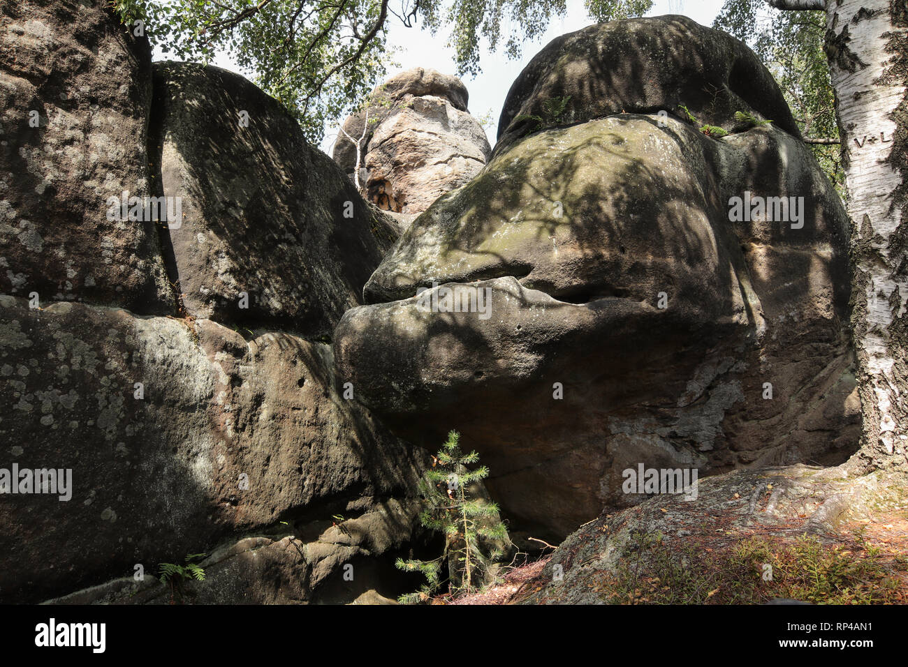Interessante formazione di roccia di piccole anatre, Broumov pareti, PLA Broumovsko, Repubblica Ceca Foto Stock