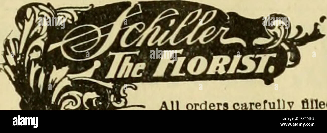 . Il fiorista americana : un giornale settimanale per il commercio. Floricoltura; fioristi. CHICAGO 146 S. WABASH AVE. Invia i tuoi ordini del telegrafo a noi per la consegna in Chicago e dintorni. Gli stati di F. T. D. THOS. F. GALVIN DIO. NEW YORK Fifth Avenue DUiJ 1 Ull 799 Boirlston Street Delivei-ii di Steamurs iimi tutti Eaf-tern punti. Brooklyn, N. Y. GIUSEPPE TREPEL BROOKLYN FIORISTA LAAGBST sette negozi. ViK principale ho ?yiit Ava Telefono Store- ""* ""'* ""?t n. 1150 Bedford Telejrraph ordini deliveri'd a tutte le parti della città di New York. Brooklyn aud Long Island. Gli stati di fioristi' Foto Stock