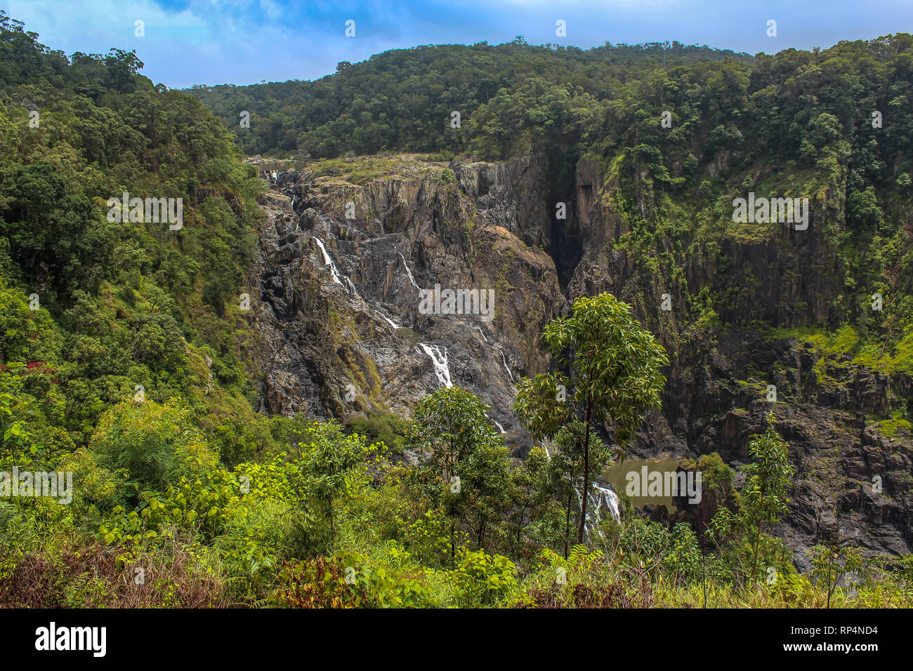 Cascata nella foresta pluviale di Kuranda, viaggi avventura australia backpacker Foto Stock