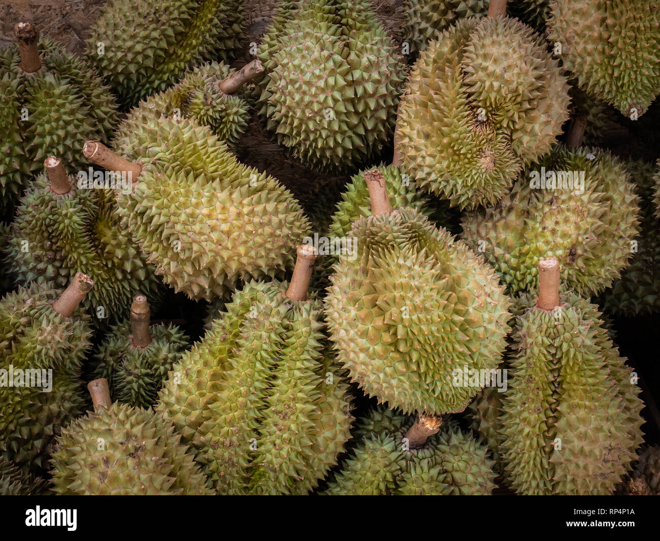 Il re della frutta o Durian nel mercato in Thailandia Foto Stock