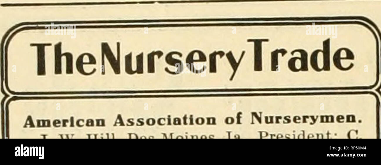 . Il fiorista americana : un giornale settimanale per il commercio. Floricoltura; fioristi. 1322 American fiorista. 20 luglio. Associazione americana dei vivaisti. J. W. Hill, Des Moines, la.. Presidente; C. M Hobbs, Bridge] ort, Ind. Vicepresidente; Georse O Seager, Rocliester, N. Y., sec'y trenta-thirdannual convention si terrà a Milwaukee, Wisconsin, Giugno, 1908. Talee di arbusti di semi-legno stagionato colpirà migliori ora senza un tacco. Radici di albero desidera aria tanto come le foglie; essi non possono essere attesi per prosperare sotto quattro o cinque pollici di con- Creta. Grandi grumi irregolari di anziani molto naturalmente crescere Foto Stock
