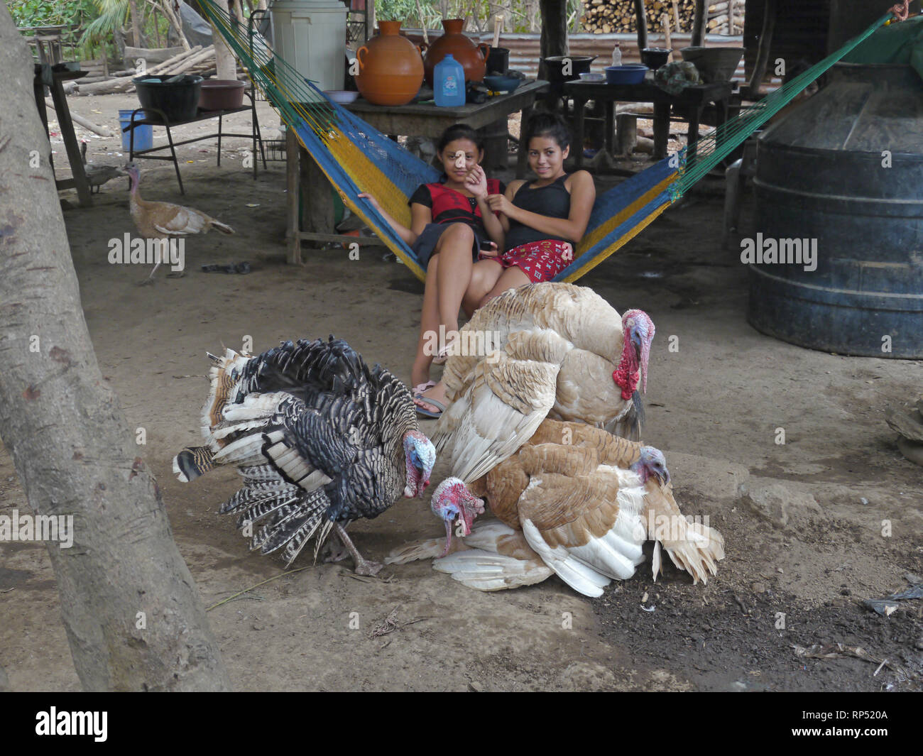 El Salvador progetti COMUS vicino a San Francisco Javier, Usulutan. Comunità di El palmo. Famiglia di Noe Mauricio Escobar (37), la moglie Rubia Elizabth Cruz (37), i loro figli Lidia Liseida Escobar (17), Blanca Alicia Escobar (13), NOE Armando Escobar (11), Daniela del Carmen Escobar (6) e Arely Elizabth Escobar (1). La famiglia di tacchini. Foto Stock