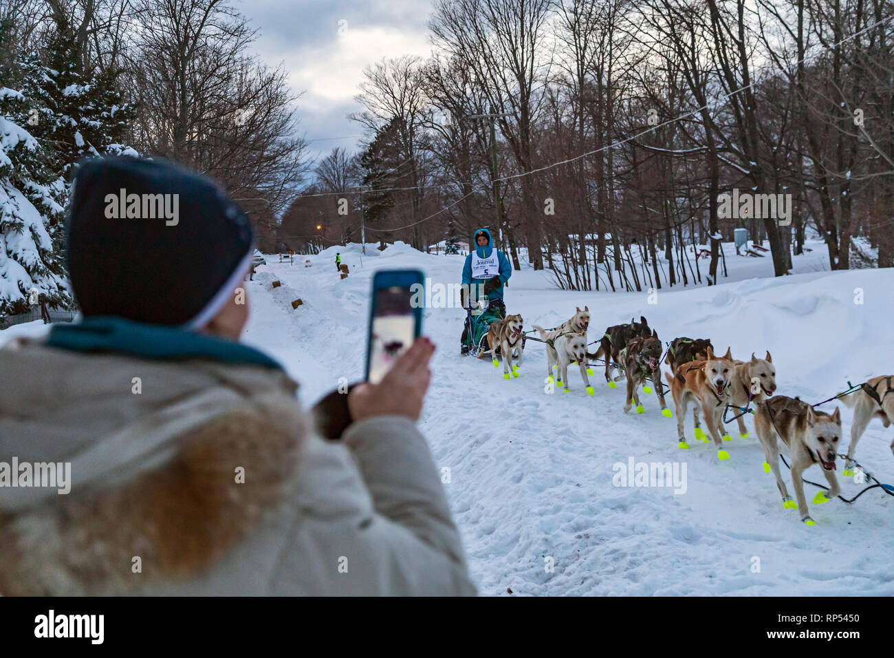 Grand Marais, Michigan - Dogsled racer Andre Longchamps arriva al giro di boa di fino 200, un annuale 238 Miglia Race dalla Marquette, Michigan t Foto Stock