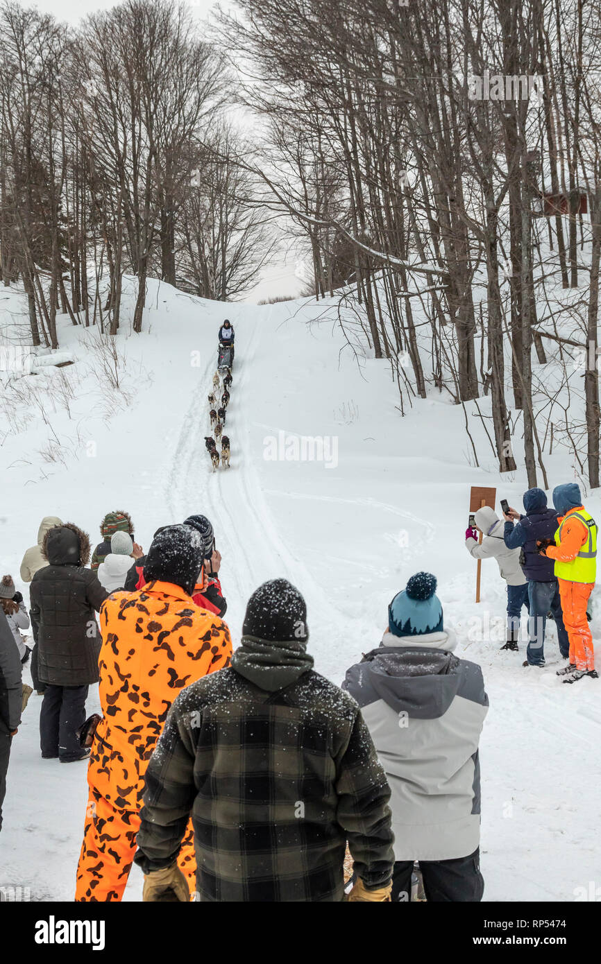 Grand Marais, Michigan - spettatori guarda come Ryan Anderson entra Grand Marais, il giro di boa della fino 200, un annuale 238 miglia di corsa di cani da slitta Foto Stock