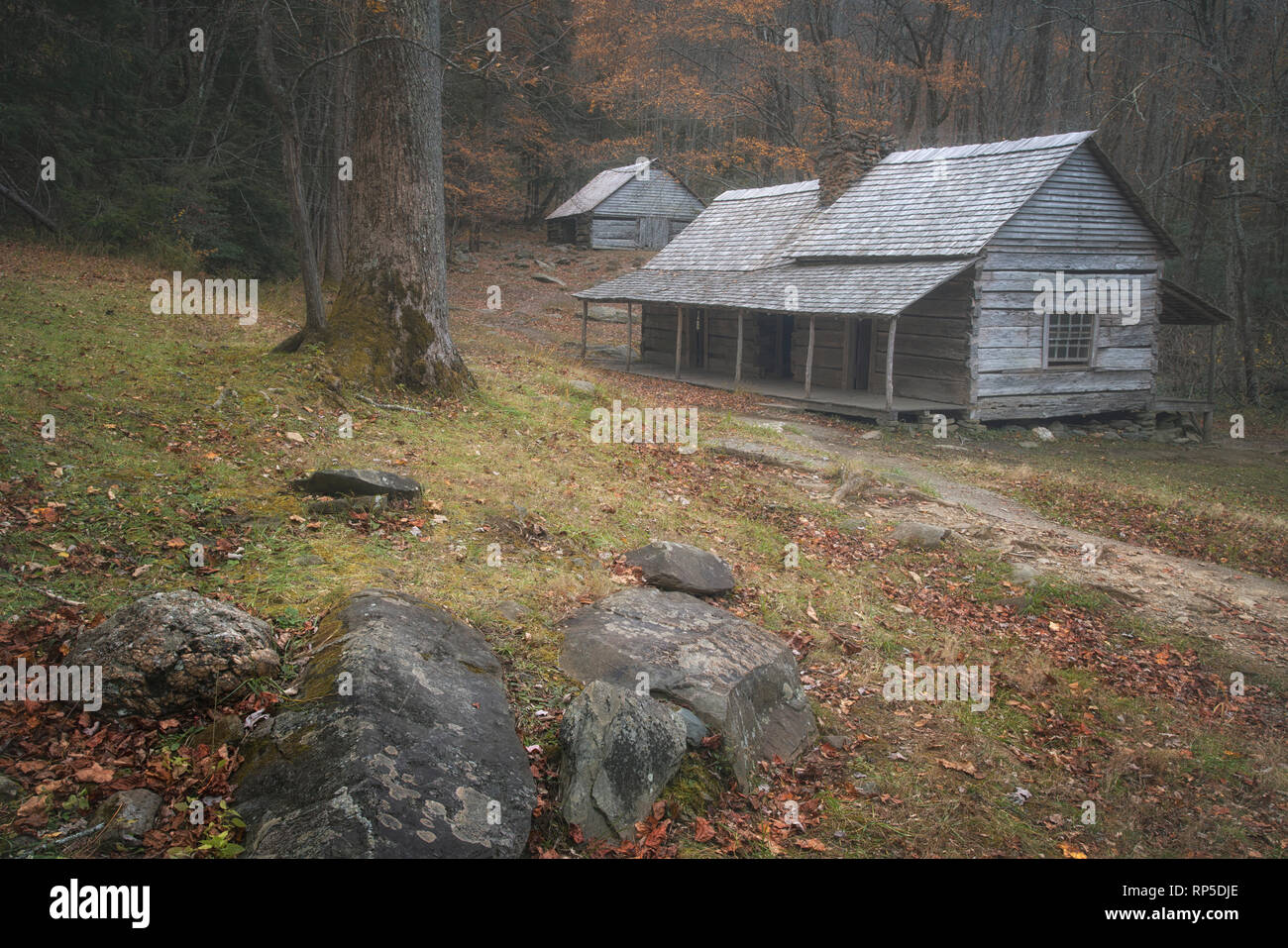 Vista autunnale della cabina di Noah "Bud" Ogle in Great Smoky Mountains National Park nel Tennessee Foto Stock