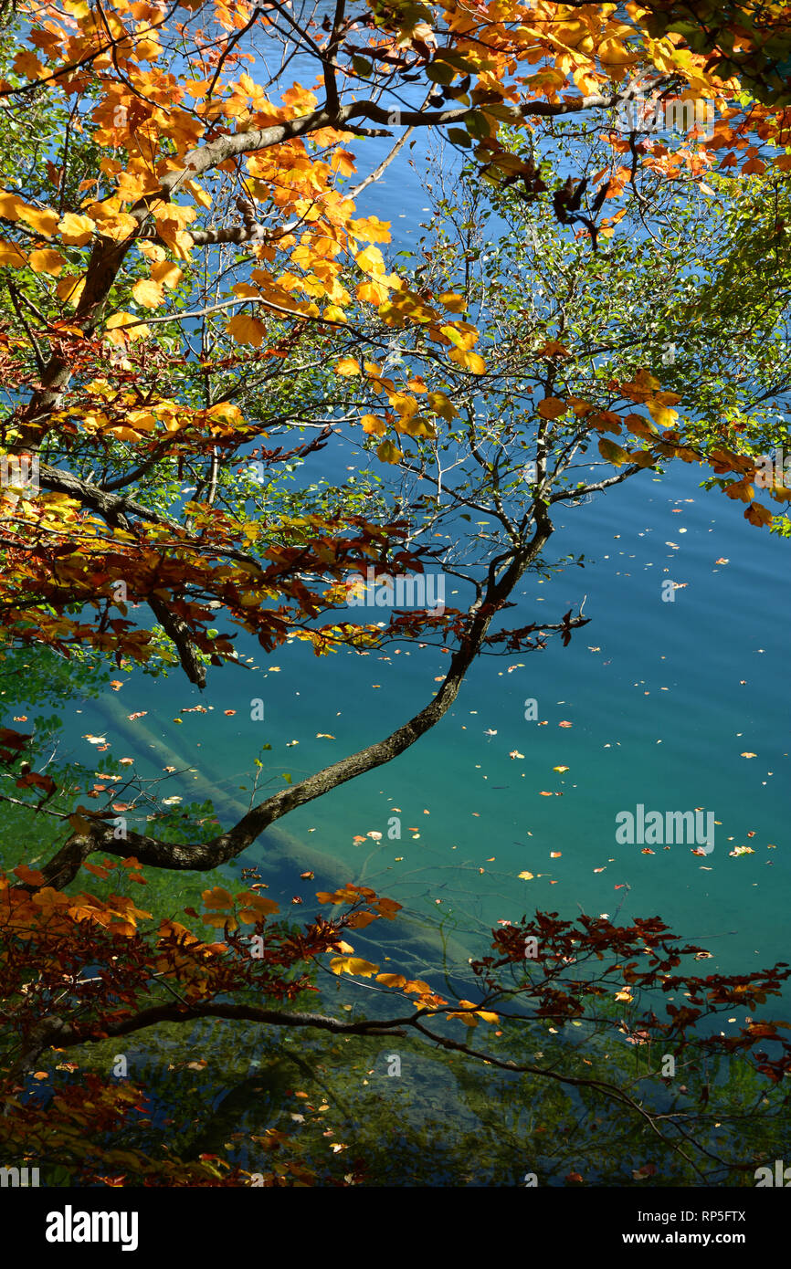 Lago e foglie di autunno nel Parco Nazionale dei Laghi di Plitvice, Croazia Foto Stock
