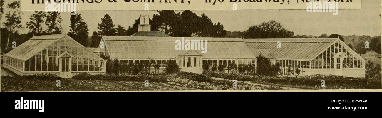 . Il fiorista americana : un giornale settimanale per il commercio. Floricoltura; fioristi. igio. Il fiorista americano. 1179 ilOU può una volta a vedere che il piano di questa gamma al nuovo Ivondon, Connecticut, è un eccellente uno, come ogni casa è disposta in modo tale che uno non ombra gli altri. Il piccolo undici-piede case di collegamento dare ulteriori vani che sono molto utili per la crescita di piccoli lotti o per attività sperimentali- centro casa è un grande vano per le rose. Il soprintendente ha alcune orchidee scelta nella parte destra della casa appena di ritorno del grapery. La costruzione è di telaio in ferro throughou Foto Stock