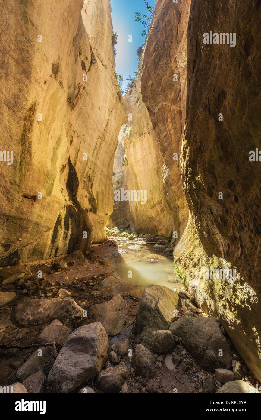 Incredibile paesaggio naturale nel canyon Avakas a Cipro. National soleggiato parco selvatico con scogliere, montagne, rocce e alberi. Profonda valle naturale a dis Foto Stock