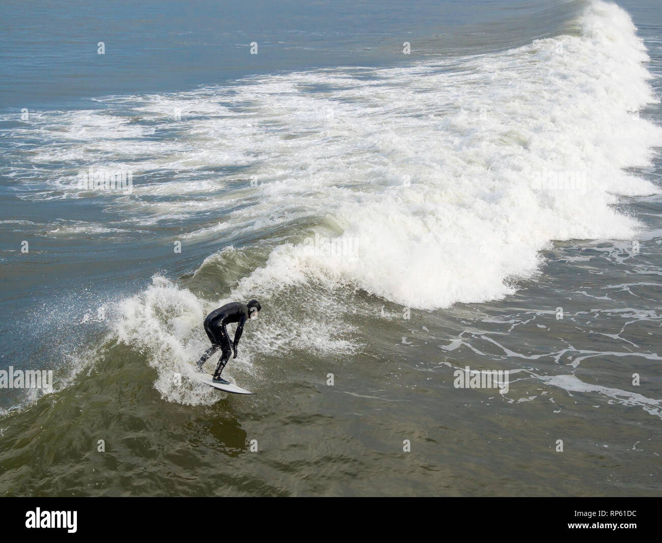 Il surfer che gode di una buona wave a Saltburn North Yorkshire Febbraio 2019 Foto Stock