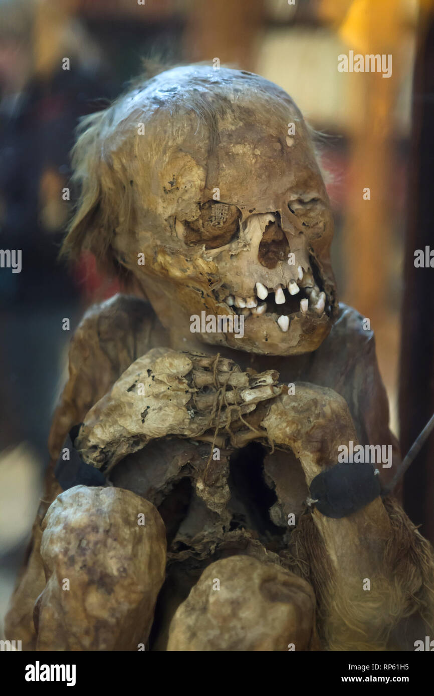 La mummia di un giovane uomo di Chancay cultura del Perù datate dal XVI secolo sul display del Carmo Museo Archeologico (Museu Arqueológico do Carmo) nell'ex convento Carmo (Convento do Carmo) a Lisbona, Portogallo. Foto Stock