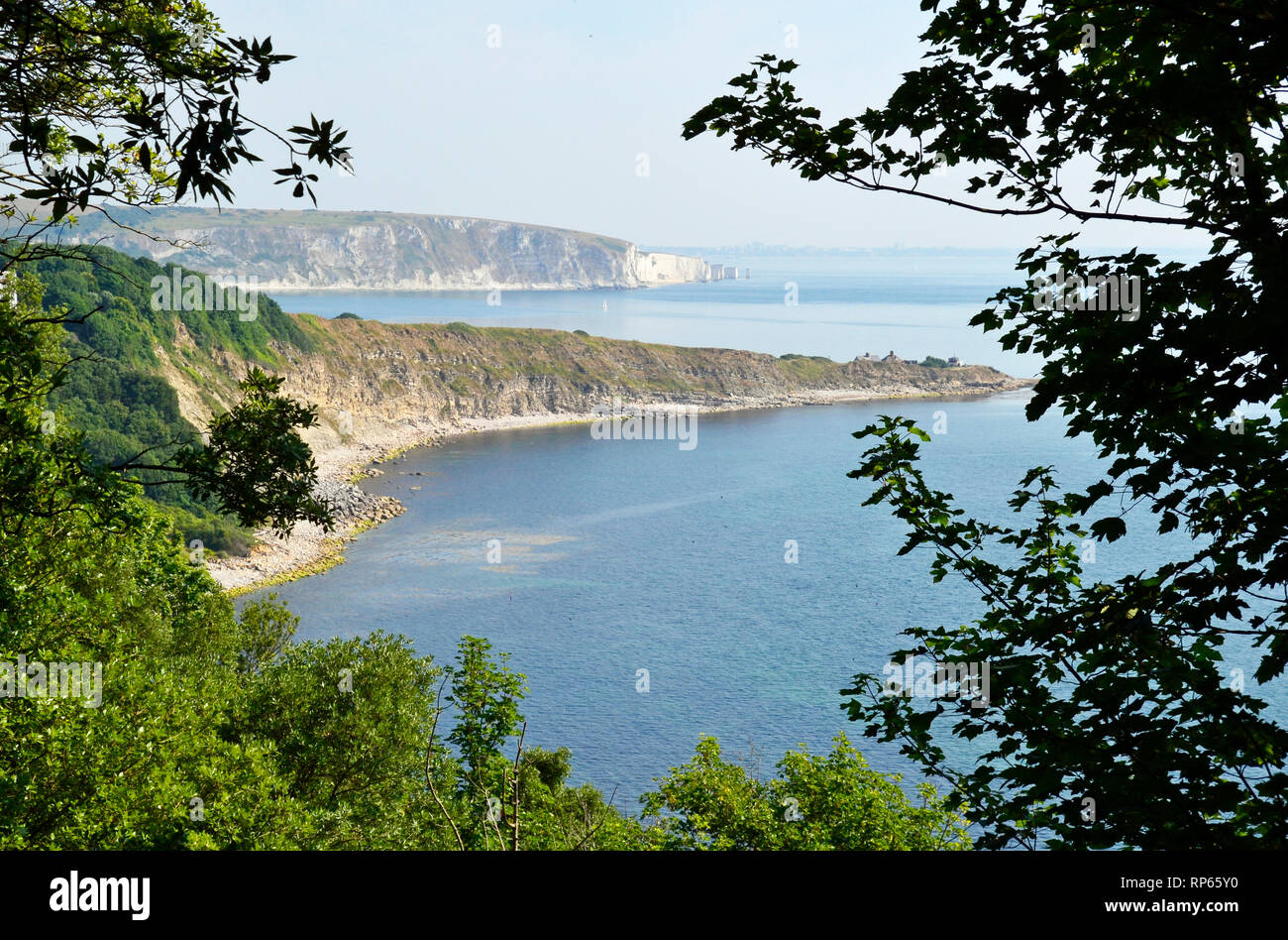 Passeggiata costiera attraverso Durlston Country Park e riserva naturale nazionale, Swanage, Isle of Purbeck, Dorset, Regno Unito Foto Stock