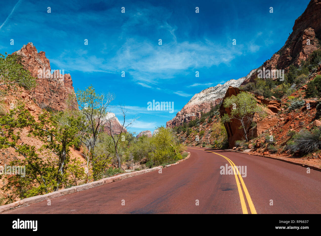 Avvolgimento unità panoramica nel Parco Nazionale di Zion / Utah Foto Stock