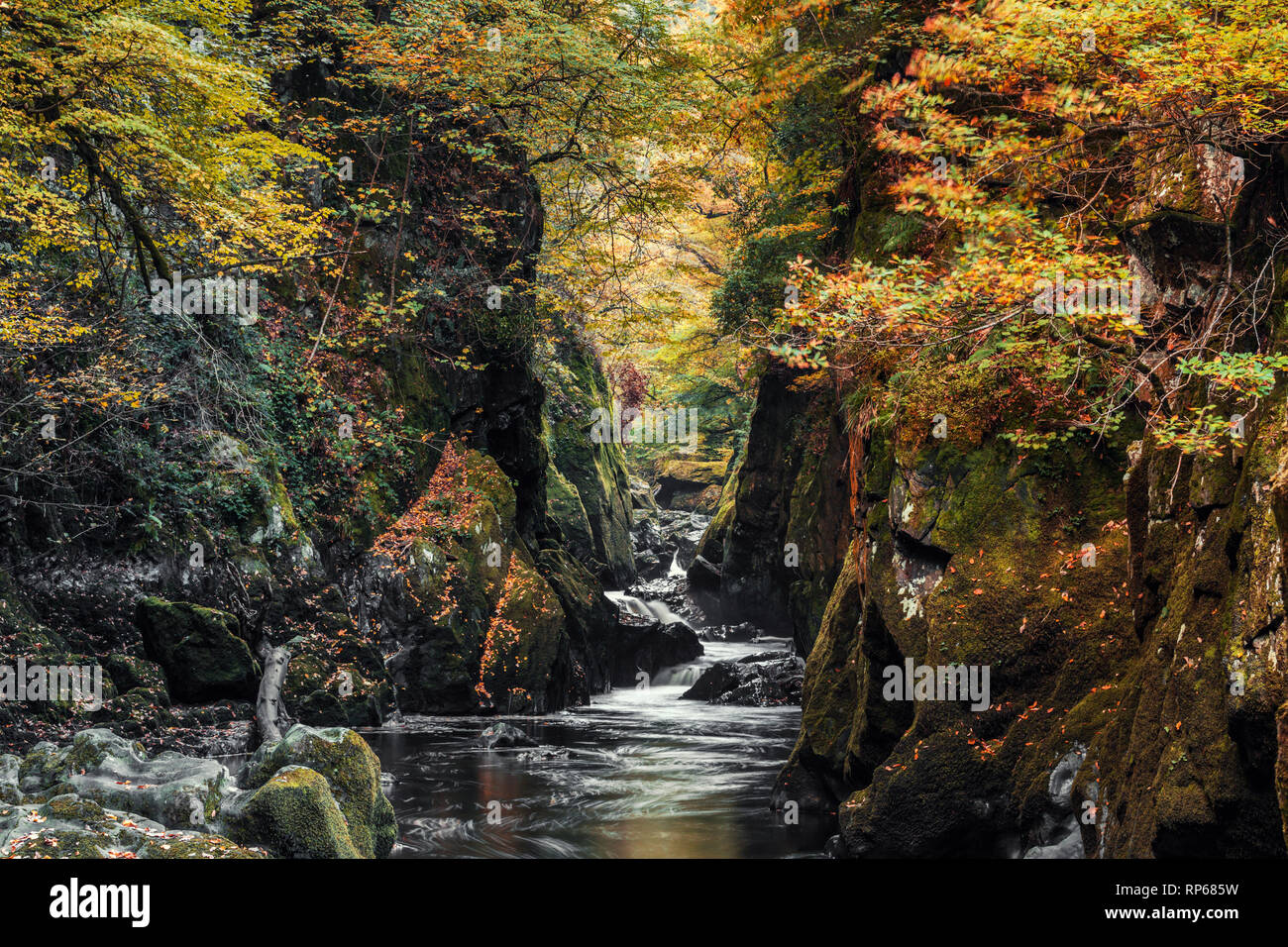 Fairy Glen Gorge cascata in autunno nel Parco Nazionale di Snowdonia, Galles del Nord, Regno Unito Foto Stock