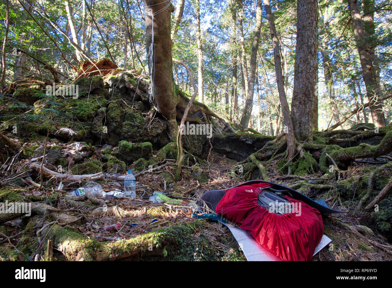 Oggetti sparsi sul pavimento del suicidio Aokigahara foresta in Tokyo, Giappone Foto Stock