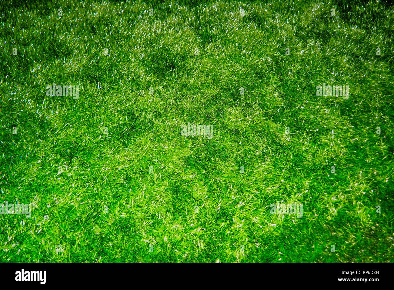 Sintetico erba artificiale texture. erba artificiale la texture di sfondo Foto Stock
