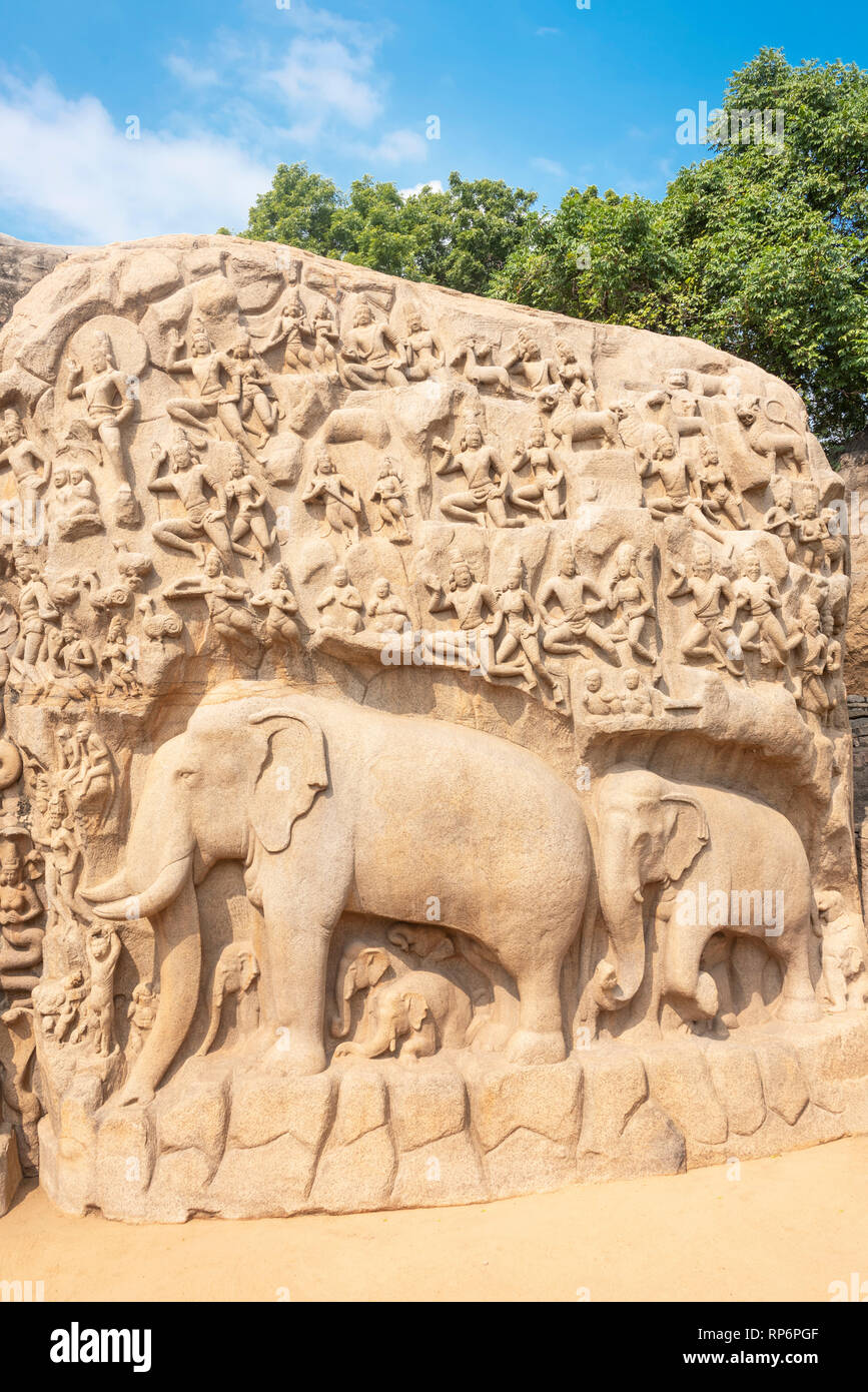Discesa del Gange è un monumento a Mamallapuram. La misura 29 m x 13 m, è un gigantesco open-air di roccia scolpita in rilievo su due monolitico massi di roccia. Foto Stock