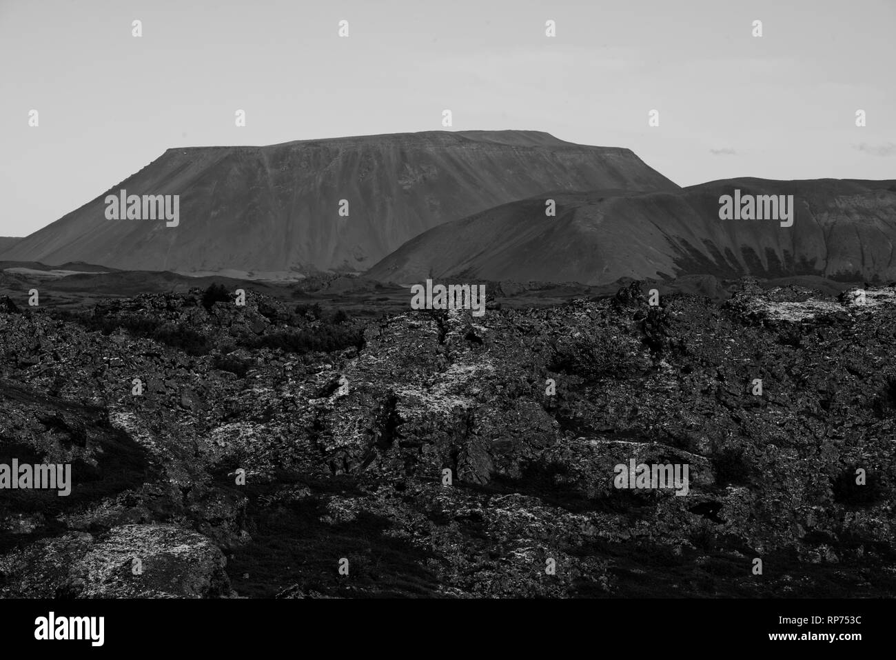 Kalfastrond scultura di lava intorno al Lago Myvatn in Islanda Foto Stock