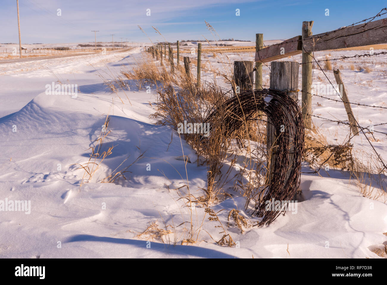 Rotolo di filo spinato parzialmente ricoperto di neve con un fencepost, erba alta e una strada in primo piano su le praterie in inverno Foto Stock